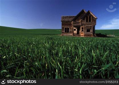 Old Wooden House in Green Field