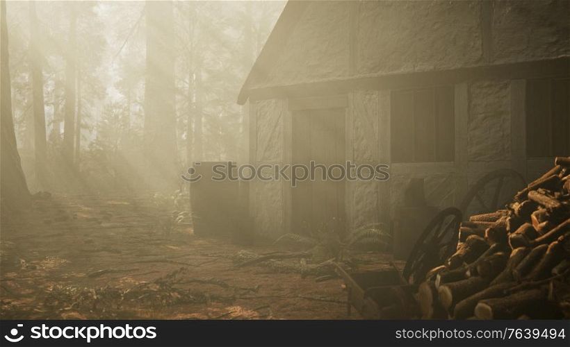 old wooden house in the autumn forest