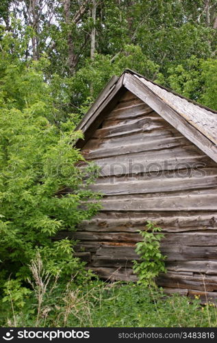 old wooden house in the woods