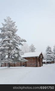 Old wooden peasant house between snowy pine trees in Northern Russia. Open air museum Malye Korely, Arkhangelsk region, Russia. Frosty winter day.