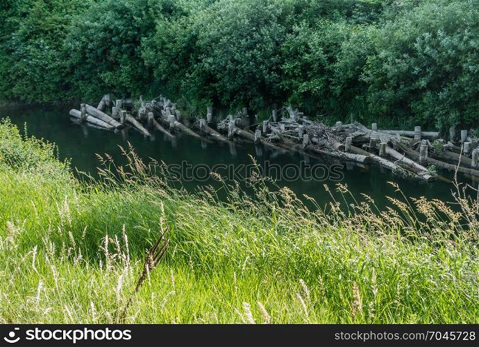 Old wooden piling line the bank of the Green River in Kent, Washington.