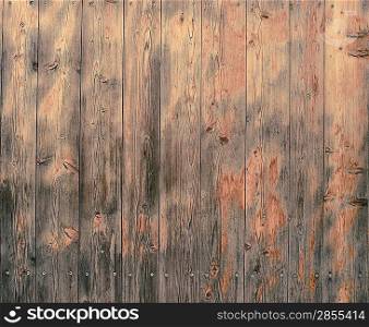 Old wooden plank fence