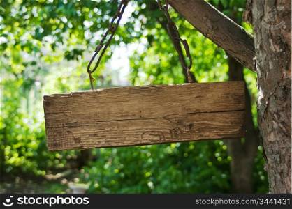 old wooden sign on a chain hanging from a tree