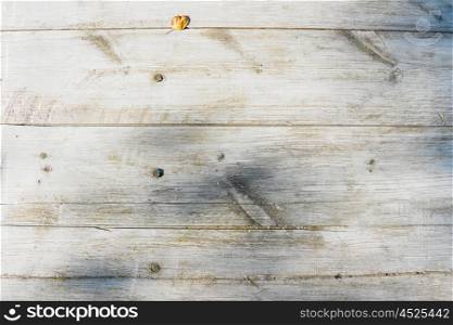 old wooden table. old wooden table texture close up