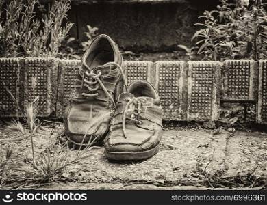 Old worn leather shoes in the garden . A black and white photo effect.