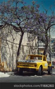 Old yellow truck under a blooming tree on the street of Mexico city