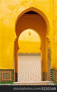 olddoor in morocco africa ancien and wall ornate brown