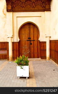 olddoor in morocco africa ancien and wall ornate brown