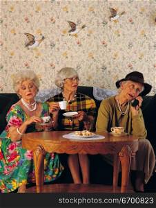 older ladies sitting at table