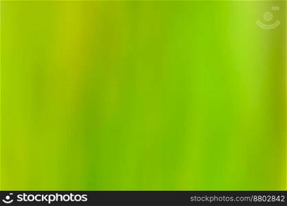 Olive chlorine blur with bokeh green color abstract bacground. Chlorine greenery blurry background.. Abstract green blurred gradient background with light. Nature greenery verdant backdrop.