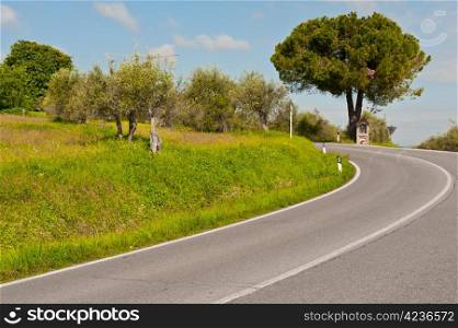 Olive Grove near the Winding Paved Road in the Italian Alps