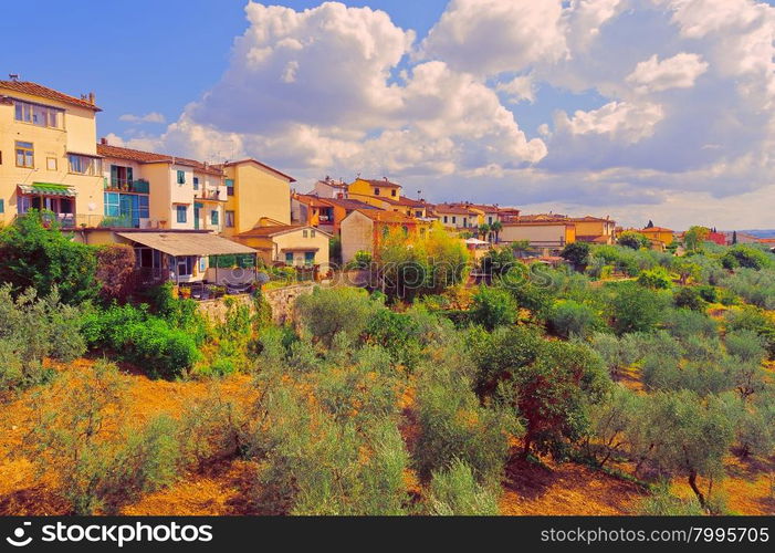 Olive Grove on the Background of the Italian City, Vintage Style Toned Picture