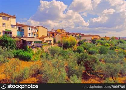 Olive Grove on the Background of the Italian City, Vintage Style Toned Picture
