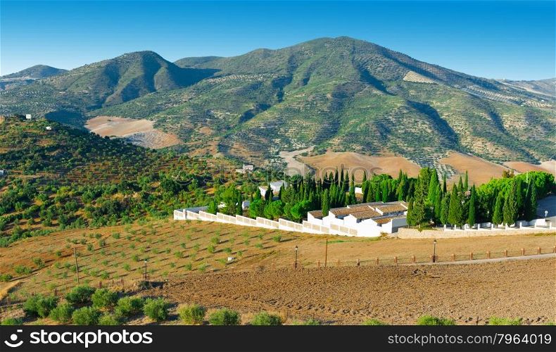 Olive Groves and Plowed Sloping Hills around the Cemetery in Spain