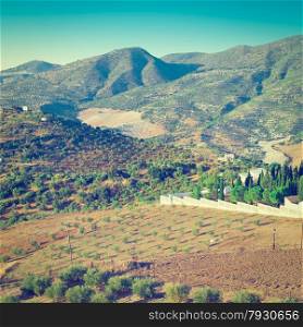 Olive Groves and Plowed Sloping Hills around the Cemetery in Spain, Instagram Effect