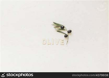 olive word with branch