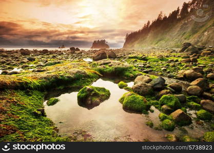 Olympic National Park landscapes