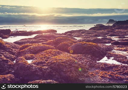 Olympic National Park landscapes