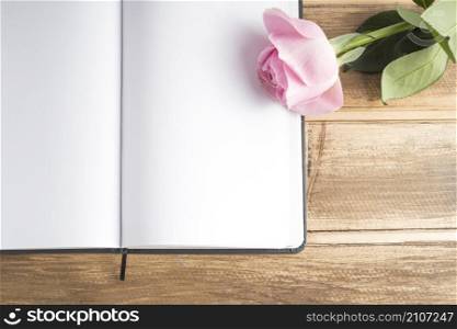 OLYMPUS DIGITAL CAMERA. close up pink rose blank open diary wooden table