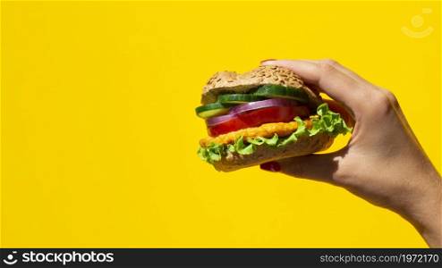 OLYMPUS DIGITAL CAMERA. High resolution photo. fresh burger delicious with meat veggie copy space. High quality photo