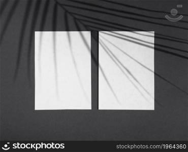 OLYMPUS DIGITAL CAMERA. High resolution photo. light black background with white blanks paper ficus leaf shadow. High quality photo