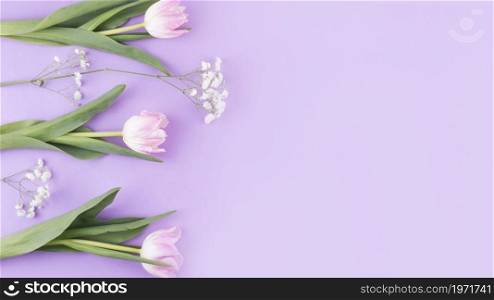 OLYMPUS DIGITAL CAMERA. High resolution photo. pink tulip flowers branches table. High quality photo