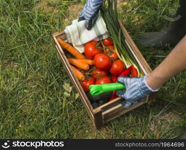 OLYMPUS DIGITAL CAMERA. High resolution photo. woman hands holding crate with fresh organic vegetable. High quality photo