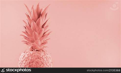 OLYMPUS DIGITAL CAMERA. painted pink pineapple colored backdrop