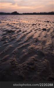 OLYMPUS DIGITAL CAMERA. pattern sand low tide beach during sunset
