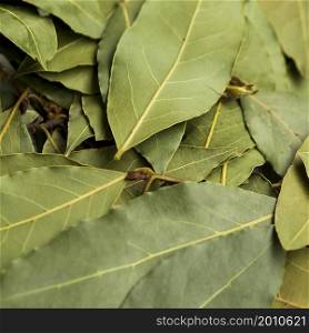 OLYMPUS DIGITAL CAMERA. pile dry laurel leaves