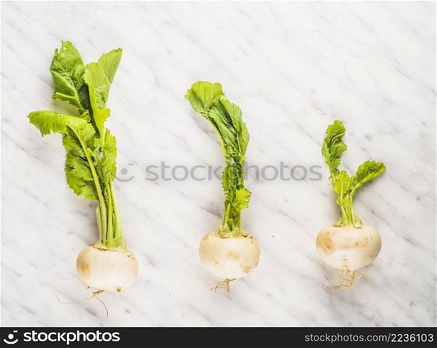 OLYMPUS DIGITAL CAMERA. row turnip vegetables marble backdrop