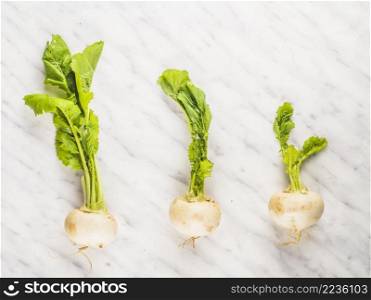 OLYMPUS DIGITAL CAMERA. row turnip vegetables marble backdrop