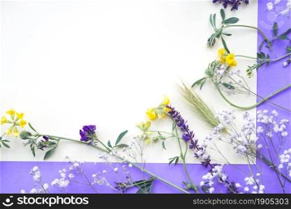 OLYMPUS DIGITAL CAMERA. spring flowers white purple backdrop
