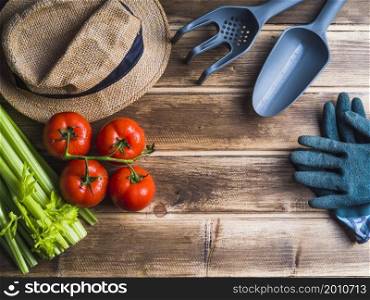 OLYMPUS DIGITAL CAMERA. tomatoes celery wooden table with gardening equipments