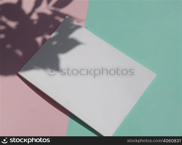 OLYMPUS DIGITAL CAMERA. top view mock up magazine with colourful background 2