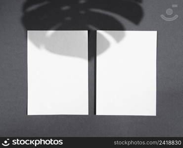 OLYMPUS DIGITAL CAMERA. white blankets dark grey background with ficus leaf shadow