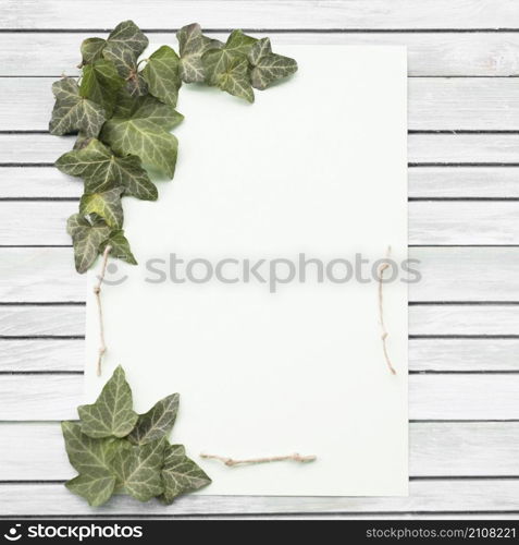 OLYMPUS DIGITAL CAMERA. white purple rose green leaf wooden background