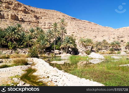 oman old mountain and water in canyon wadi oasi nature paradise