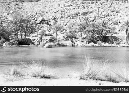 oman old mountain and water in canyon wadi oasi nature paradise