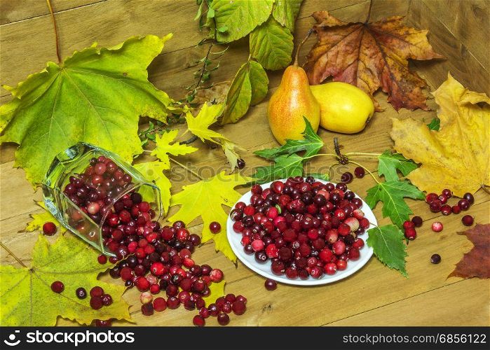 On a wooden surface surrounded by autumn leaves lie pears and cranberries in a white dish and fallen glass beaker