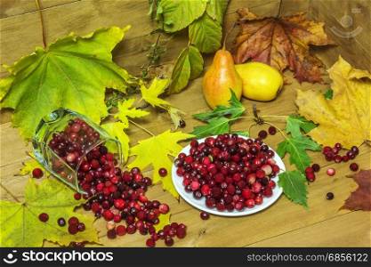 On a wooden surface surrounded by autumn leaves lie pears and cranberries in a white dish and fallen glass beaker