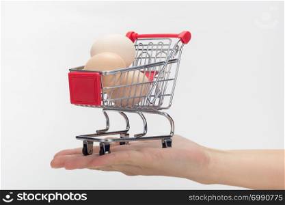 On hand is a grocery cart with chicken eggs