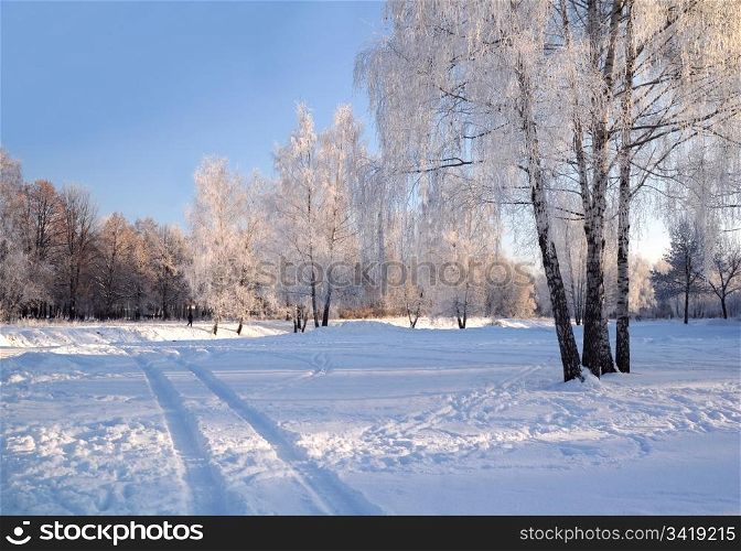 On the bright and sunny winter day in the town of Korolev not far away from Moscow near the urban canal.