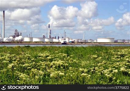 On the headland at Rozenburg is much industry to see but also nature, the port of Rotterdam. The Netherlands.
