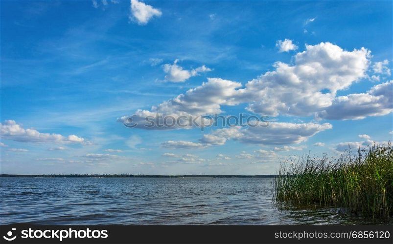 On the horizon is visible shore with forest and city. Above the water, floating clouds. In the foreground is seen a cane.