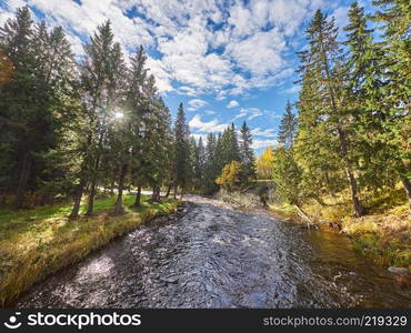 on the river bank. autumn