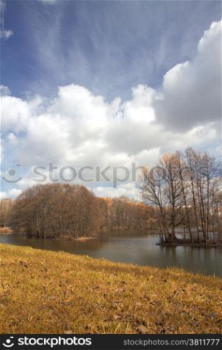 on the shore of a beautiful lake with trees