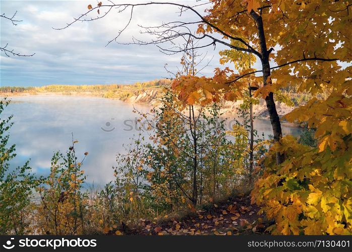 On the shore of a misty lake in the early morning . Autumn landscape. On the shore of a misty lake in the early morning . Autumn landscape.