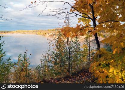 On the shore of a misty lake in the early morning . Autumn landscape. On the shore of a misty lake in the early morning . Autumn landscape.
