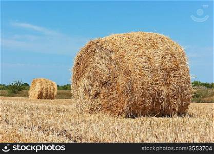 On the sloping field of wheat is a big stack straw